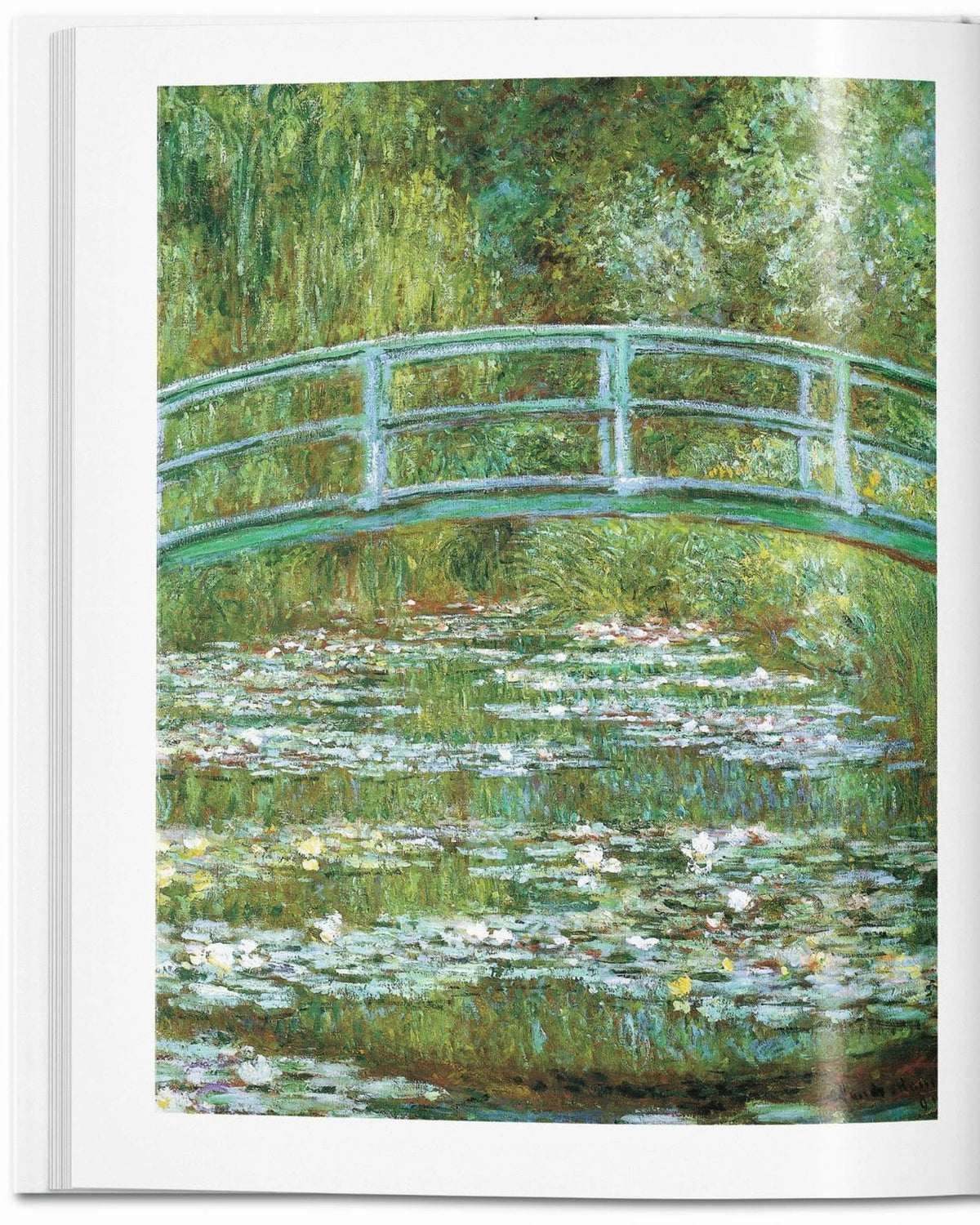 Monet | Bildmaterial bereitgestellt von SHOES.PLEASE.
