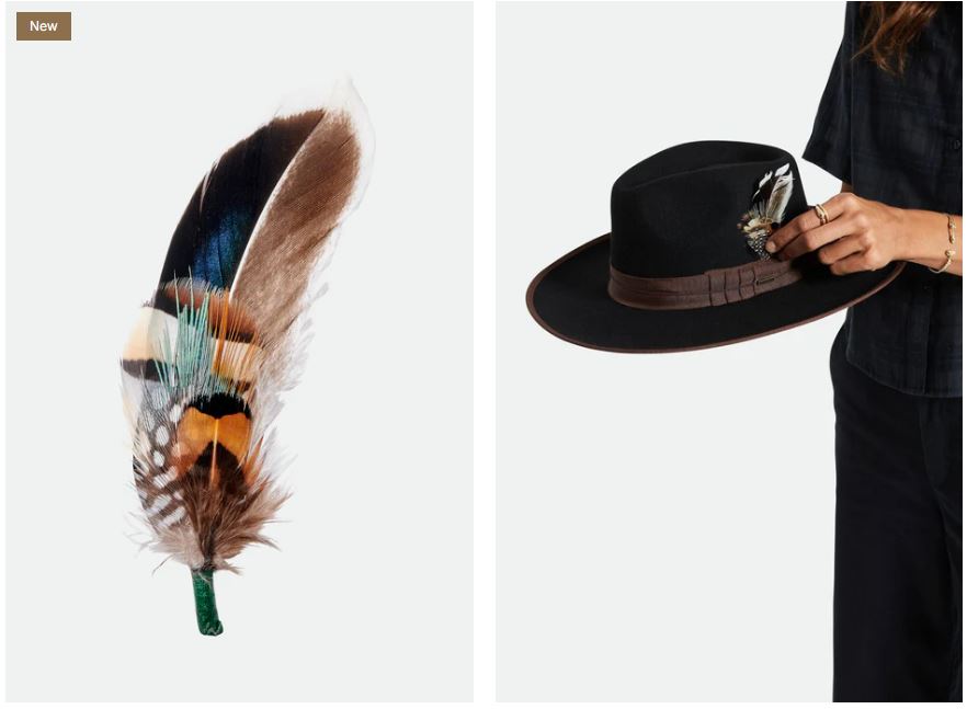 BRIXTON HAT FEATHER bsmbo | Bildmaterial bereitgestellt von SHOES.PLEASE.