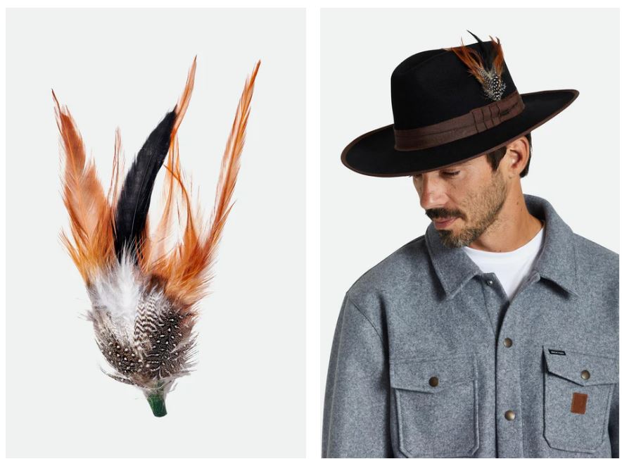 BRIXTON HAT FEATHER btobm | Bildmaterial bereitgestellt von SHOES.PLEASE.
