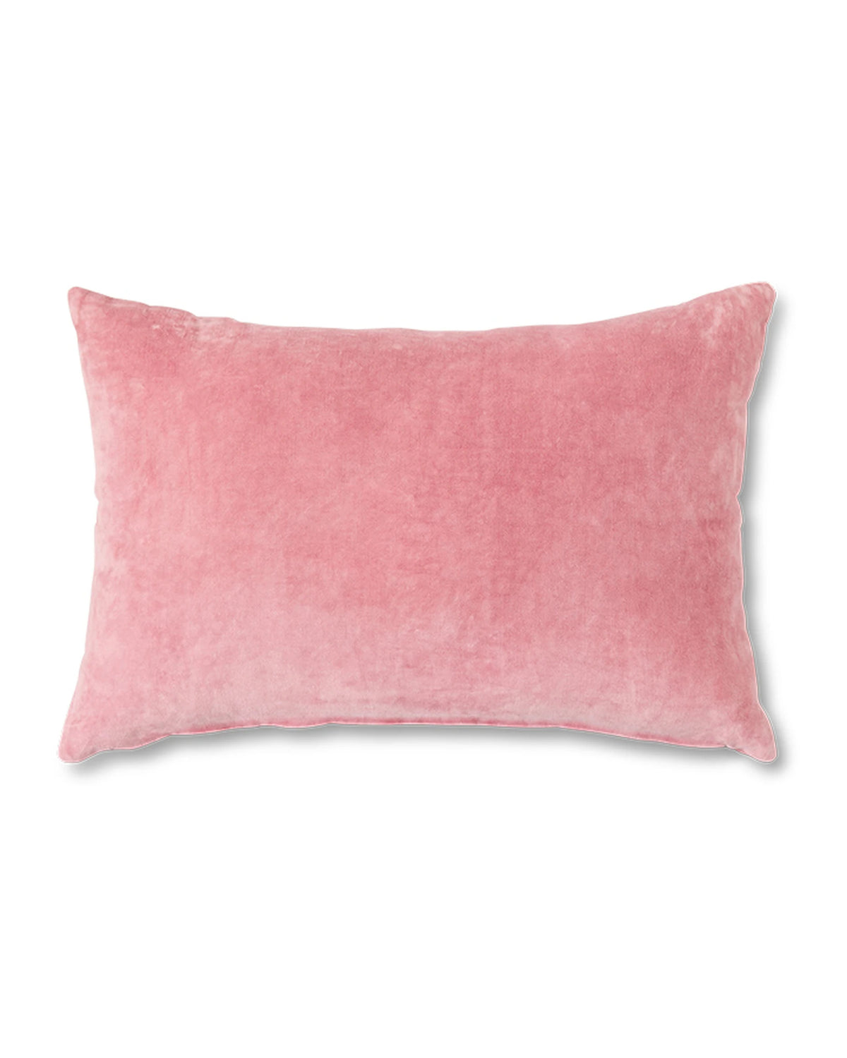 Velvet cushion rose (60x40cm) | Bildmaterial bereitgestellt von SHOES.PLEASE.