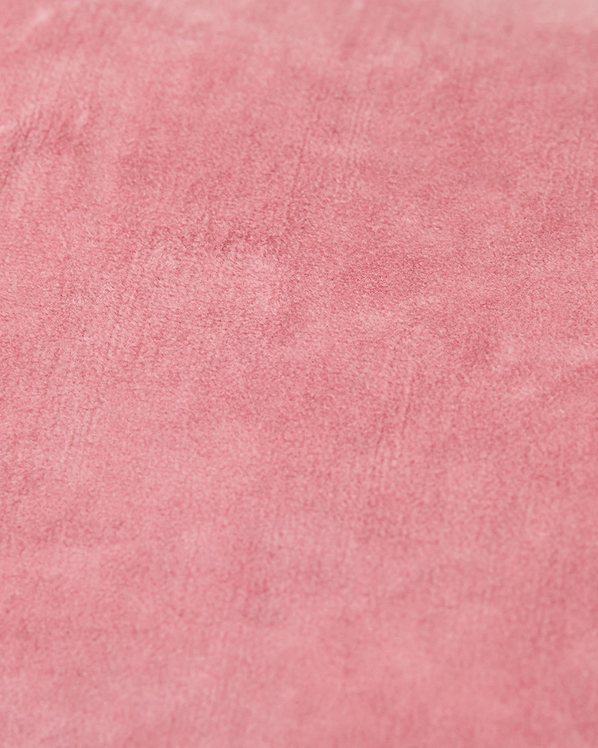 Velvet cushion rose (60x40cm) | Bildmaterial bereitgestellt von SHOES.PLEASE.