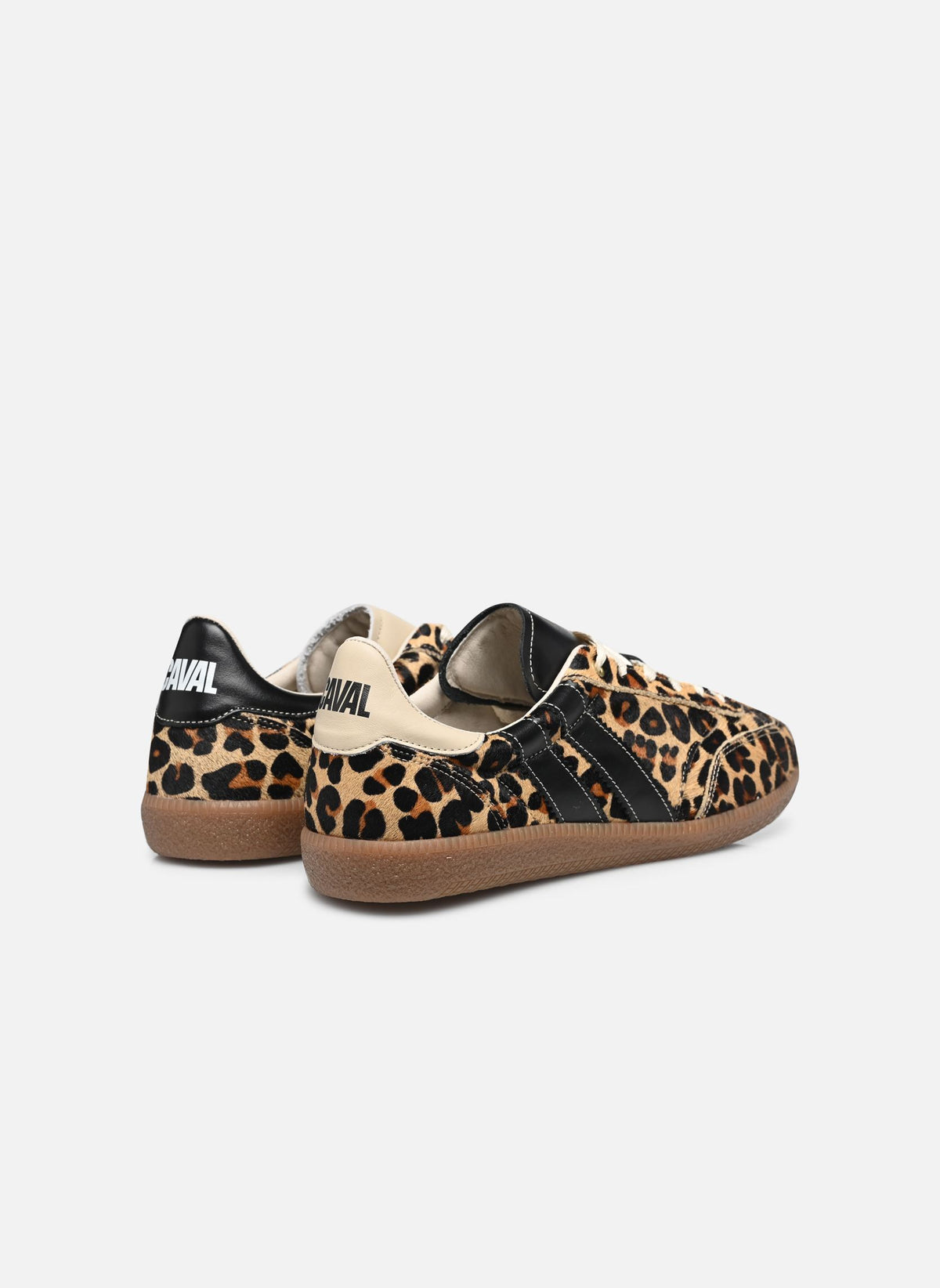 Pulse leo obsession | Bildmaterial bereitgestellt von SHOES.PLEASE.