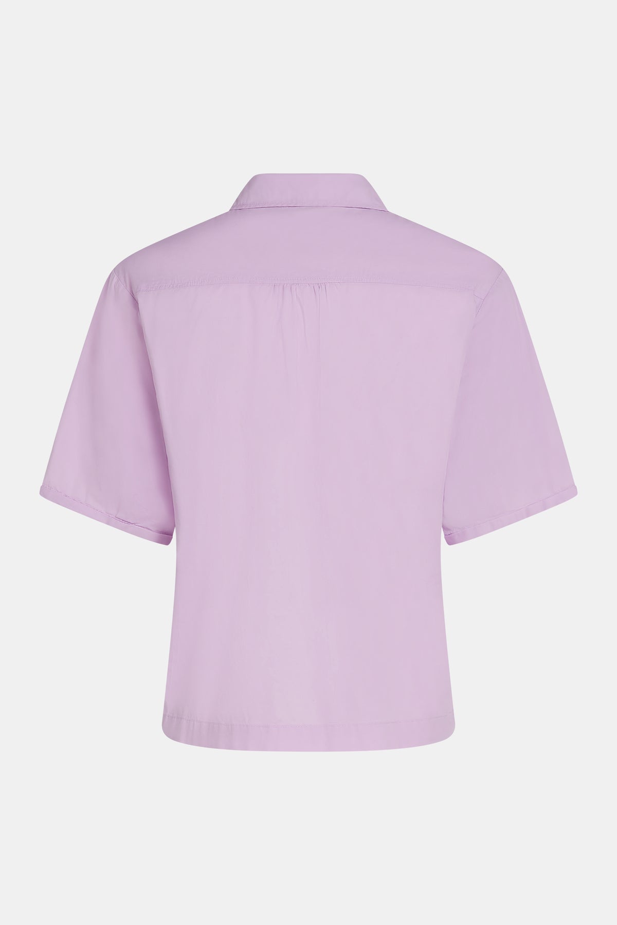 Blouse orchid | Bildmaterial bereitgestellt von SHOES.PLEASE.
