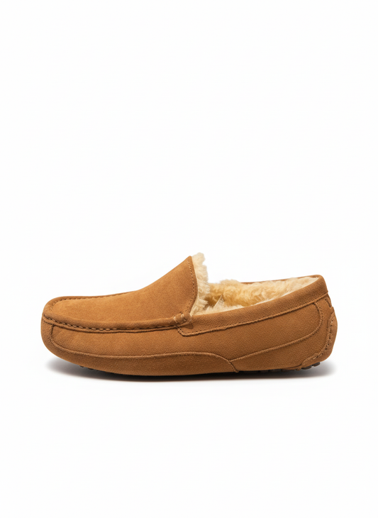 M Ascot chestnut