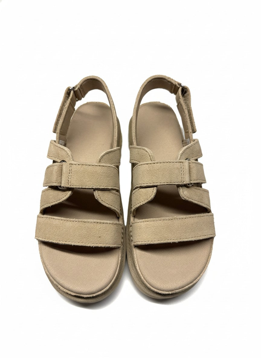 W Goldenstar Gleam mustard seed | Bildmaterial bereitgestellt von SHOES.PLEASE.