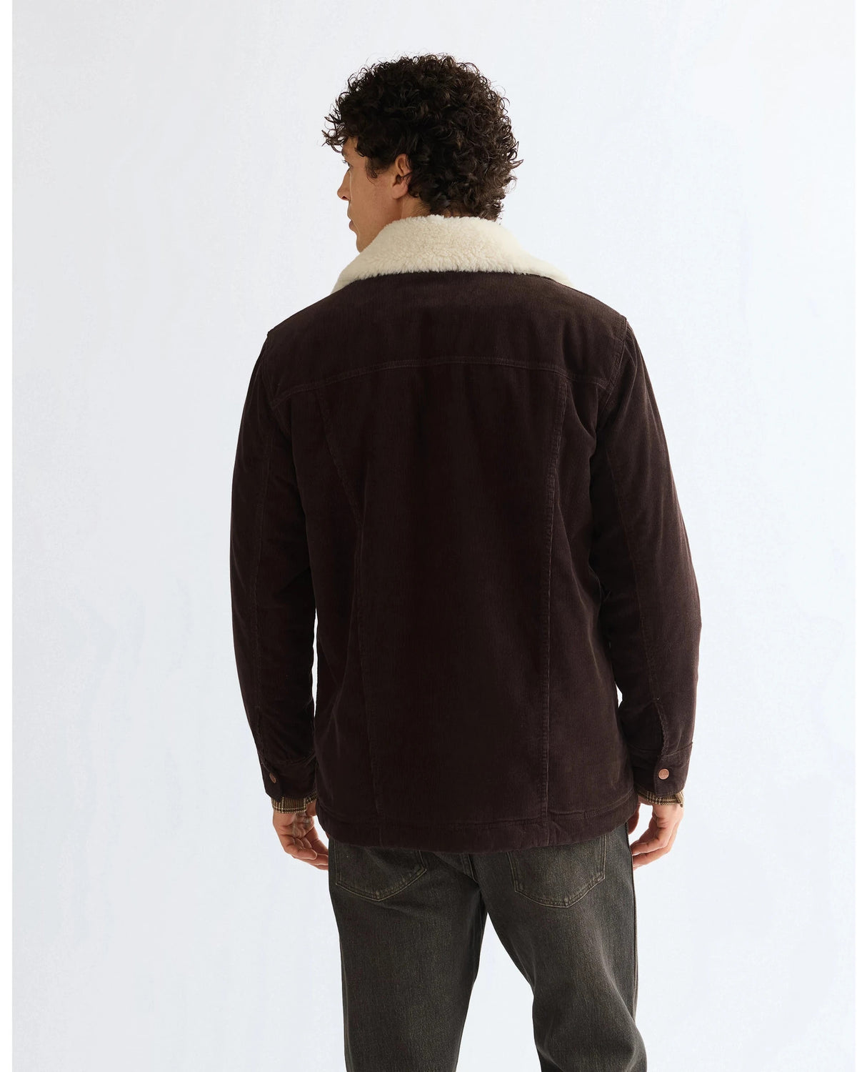 WRANGE COAT chocolate torte | Bildmaterial bereitgestellt von SHOES.PLEASE.