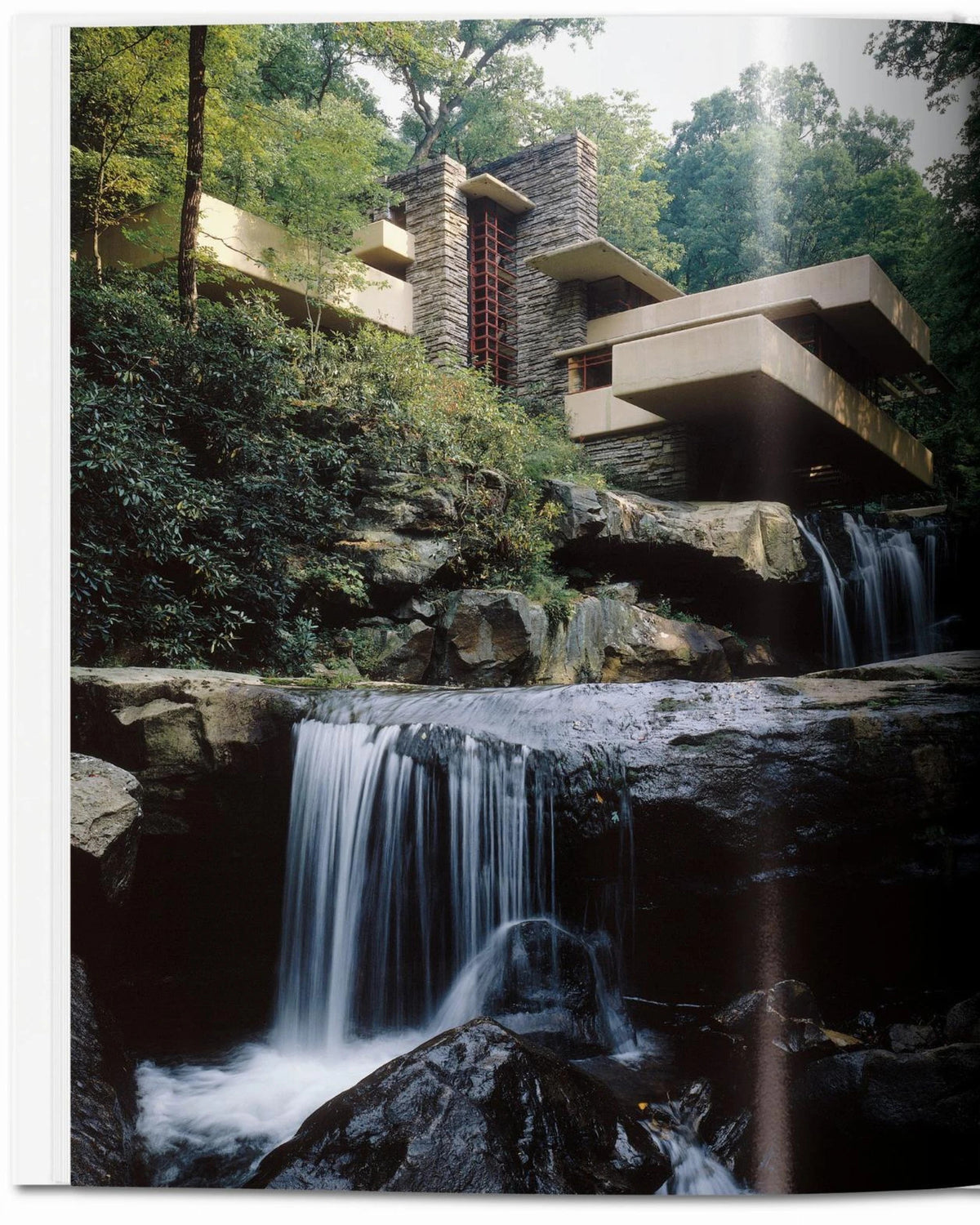 F.L. Wright | Bildmaterial bereitgestellt von SHOES.PLEASE.