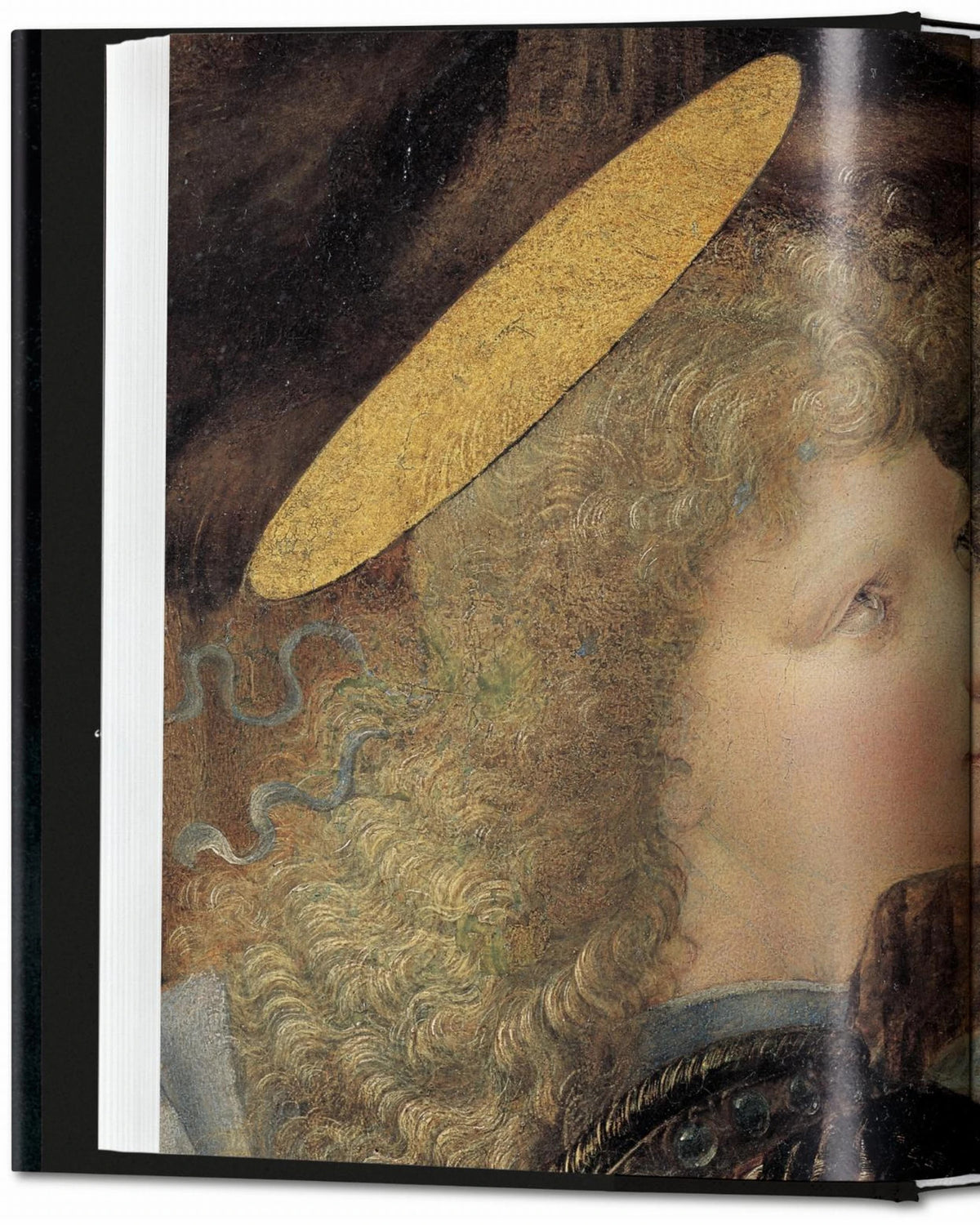 Leonardo, Gemälde | Bildmaterial bereitgestellt von SHOES.PLEASE.
