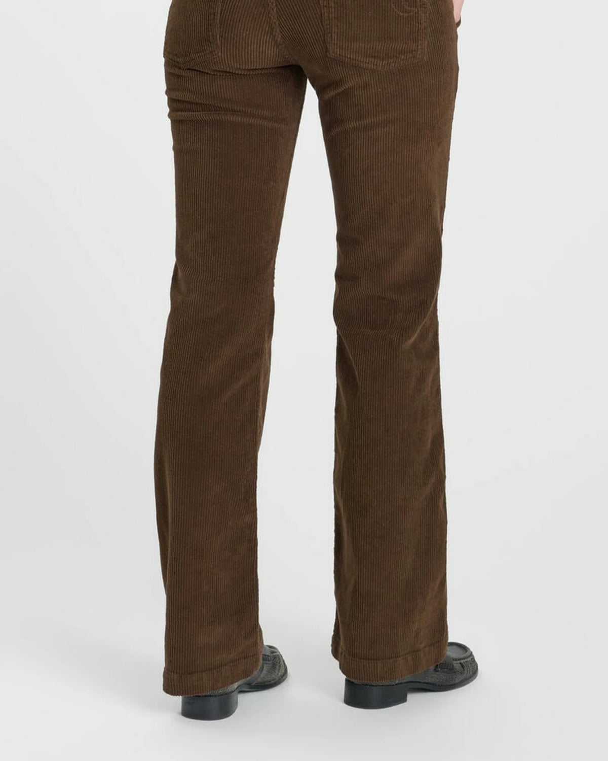 Velvet Flare Hose bear | Bildmaterial bereitgestellt von SHOES.PLEASE.