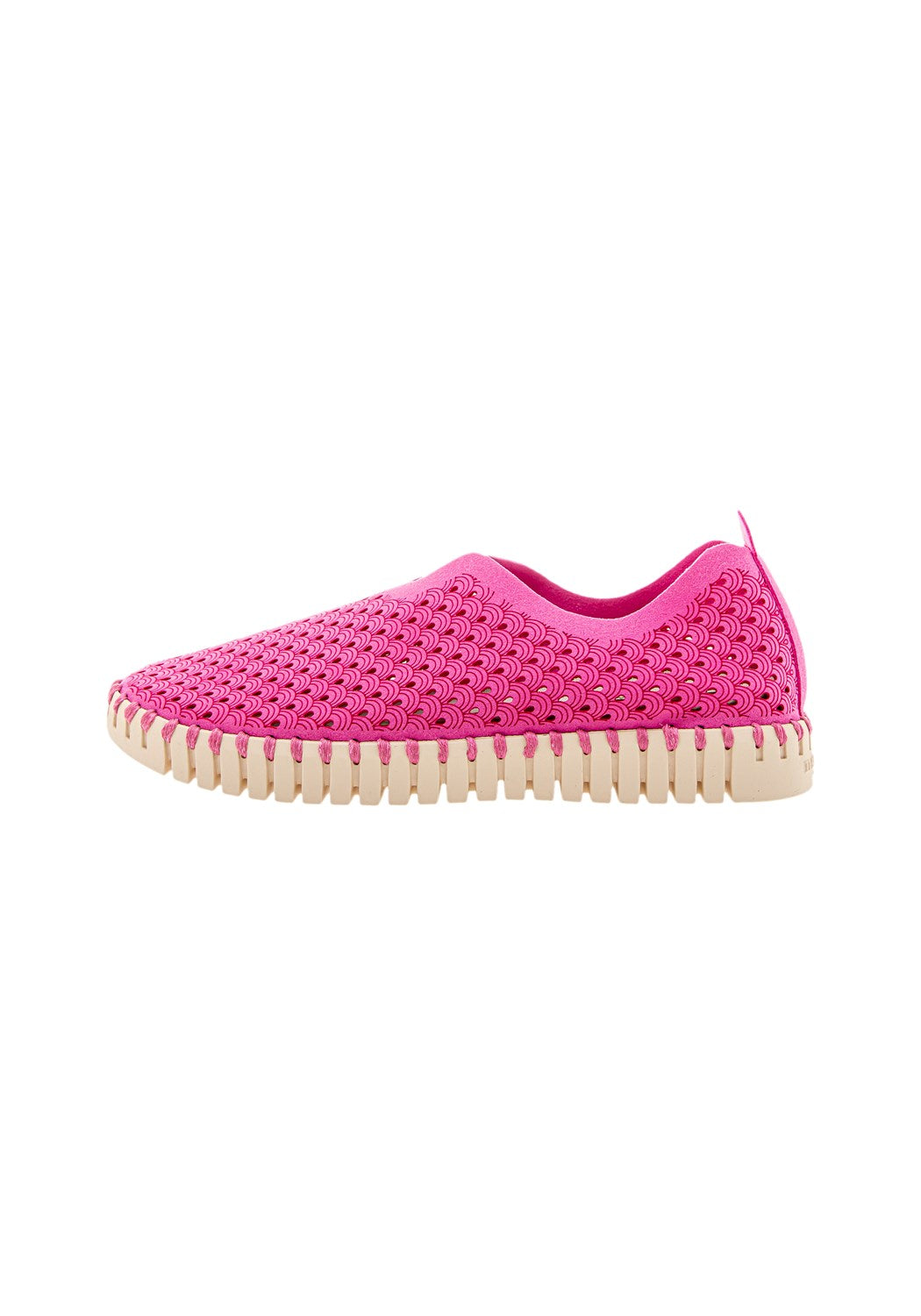 Flats Tulip3275 rose violet | Bildmaterial bereitgestellt von SHOES.PLEASE.