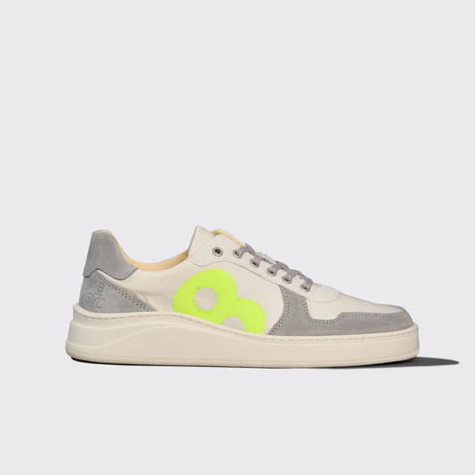 Galapagos Island grey
