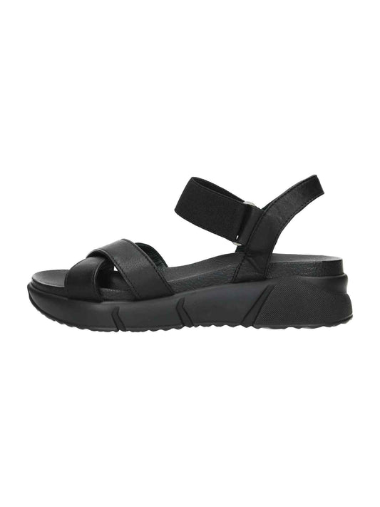 Rolly 1 black