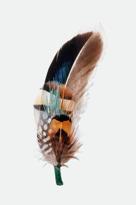 BRIXTON HAT FEATHER bsmbo | Bildmaterial bereitgestellt von SHOES.PLEASE.