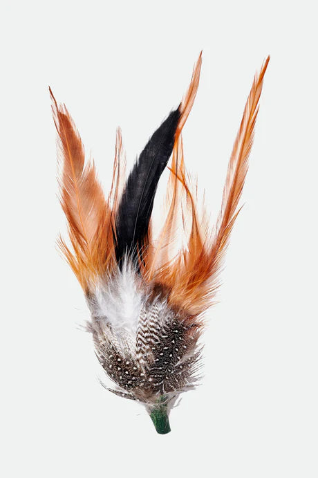 BRIXTON HAT FEATHER btobm