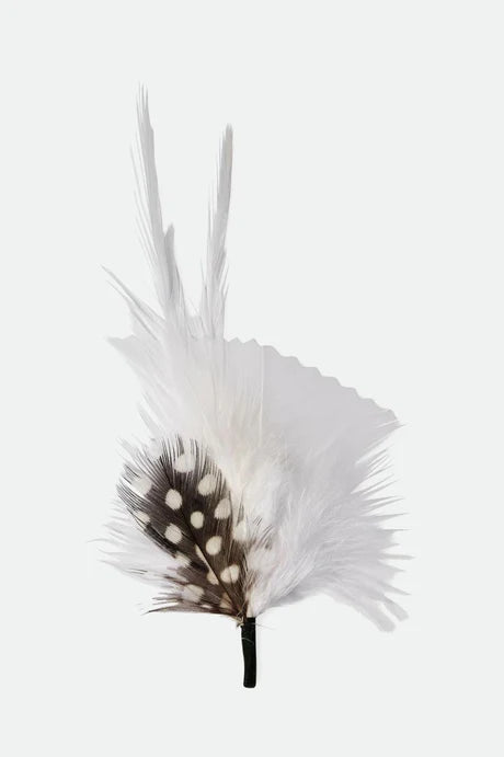 BRIXTON HAT FEATHER whblk