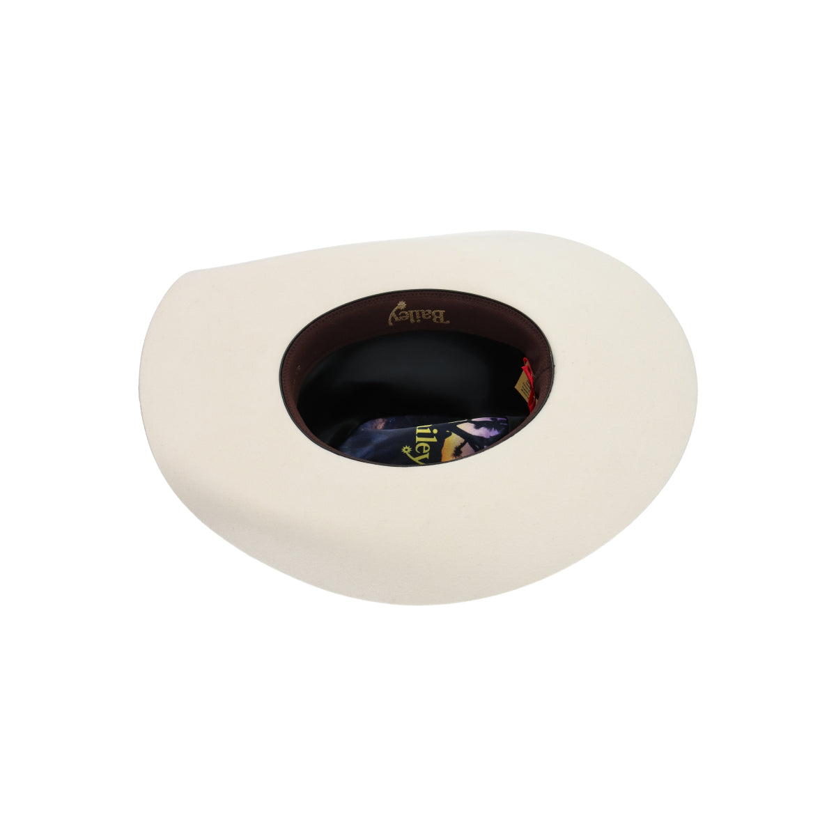 Luzerne cream | Bildmaterial bereitgestellt von SHOES.PLEASE.